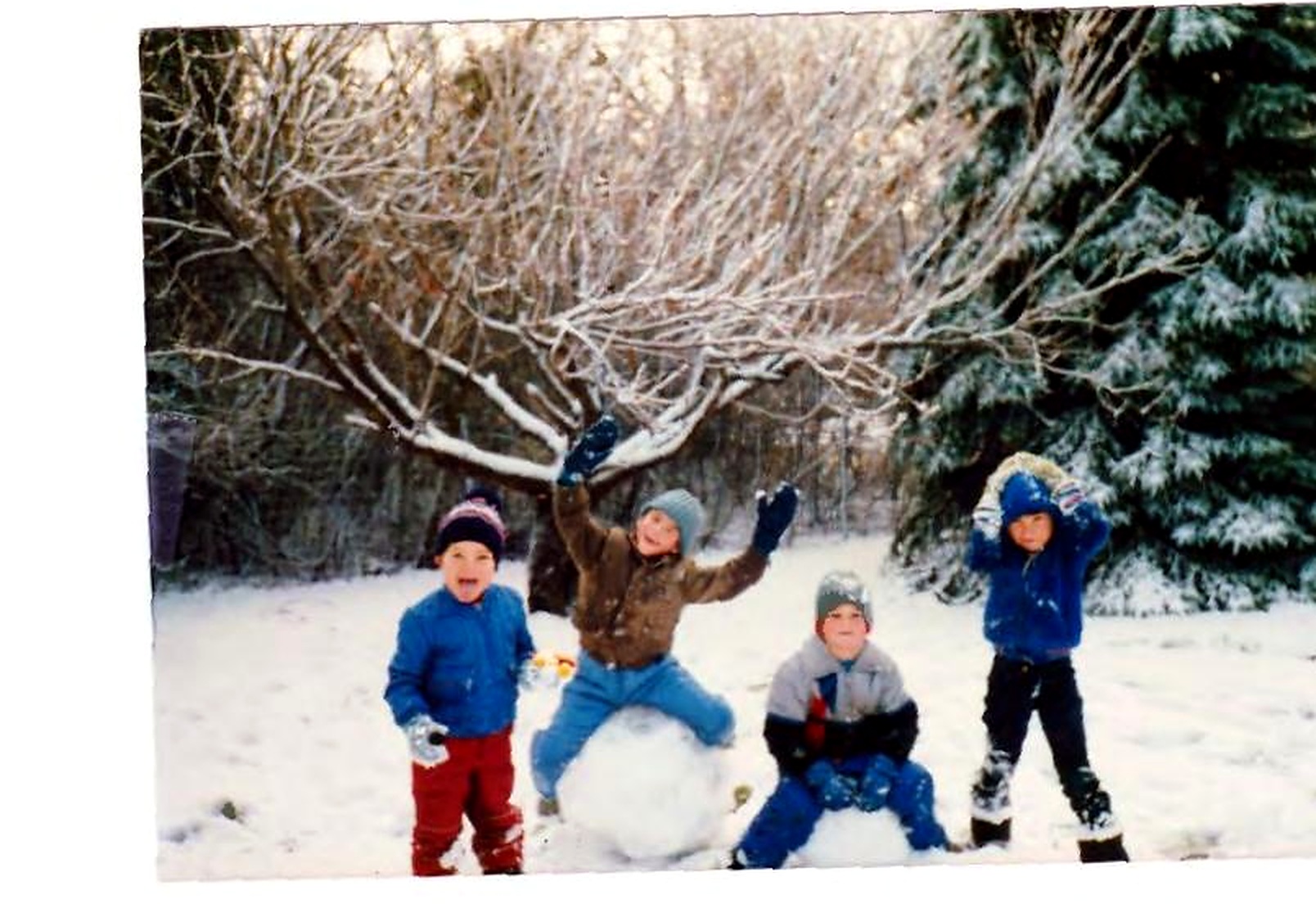 Qayum Safi's sons playing in snow with neighbors' sons
