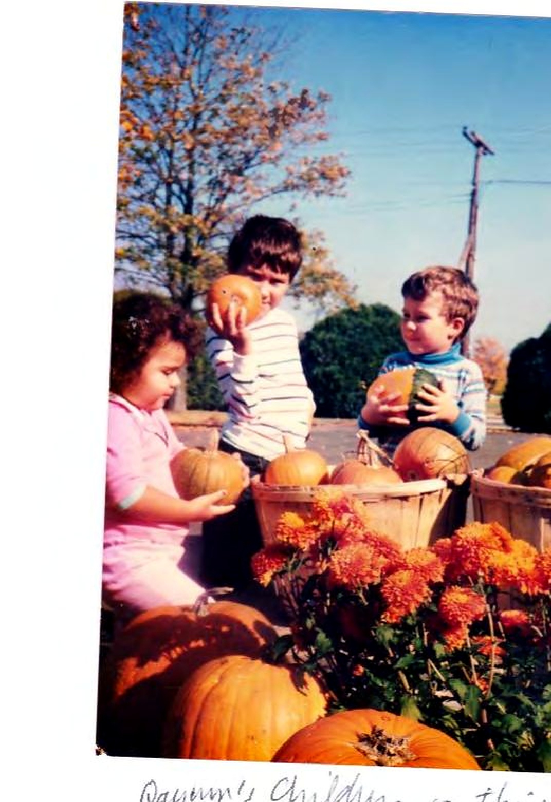 Qayum Safi's children choosing pumpkins on their first Halloween